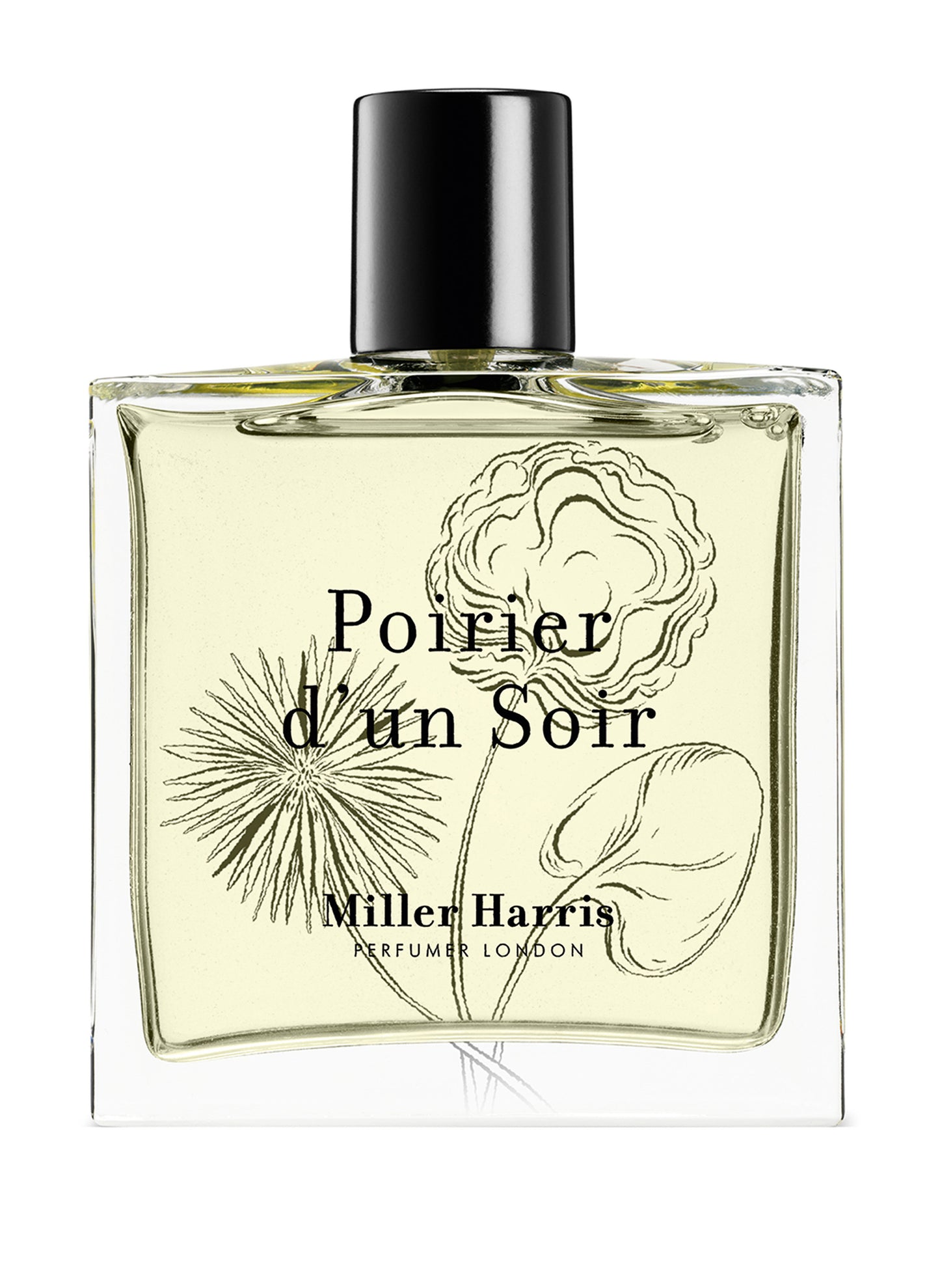 Poirier D'un Soir