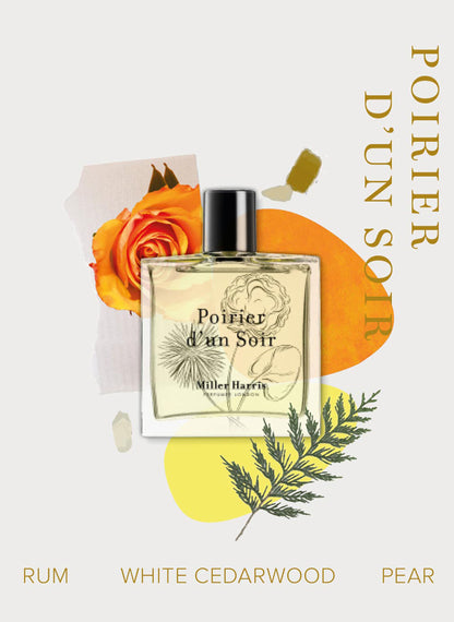Poirier D'un Soir