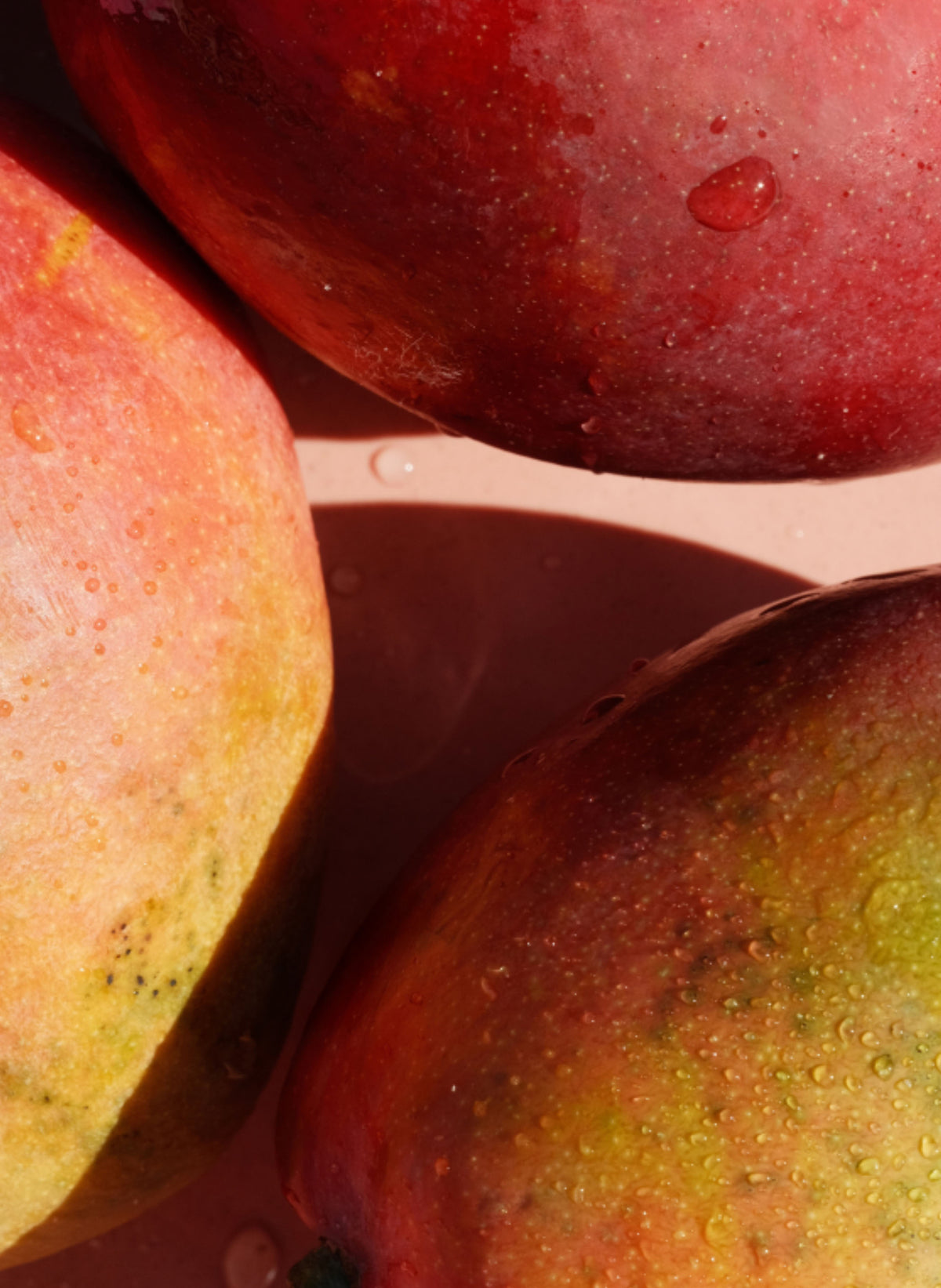 Classic SPF 50 Body Spray Guava Mango