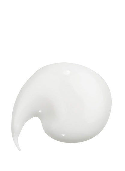 Nutri Active Day Cream / 40 ml