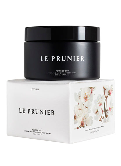 Plumbody / 200 ml