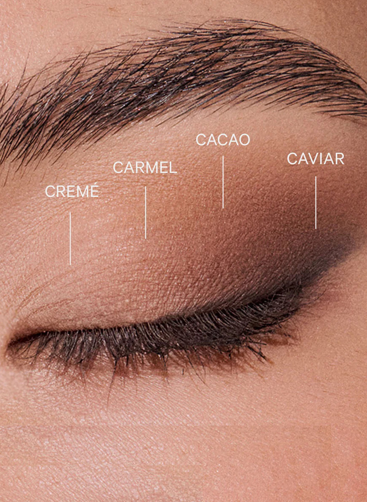 The Individual Eyeshadow / Caviar