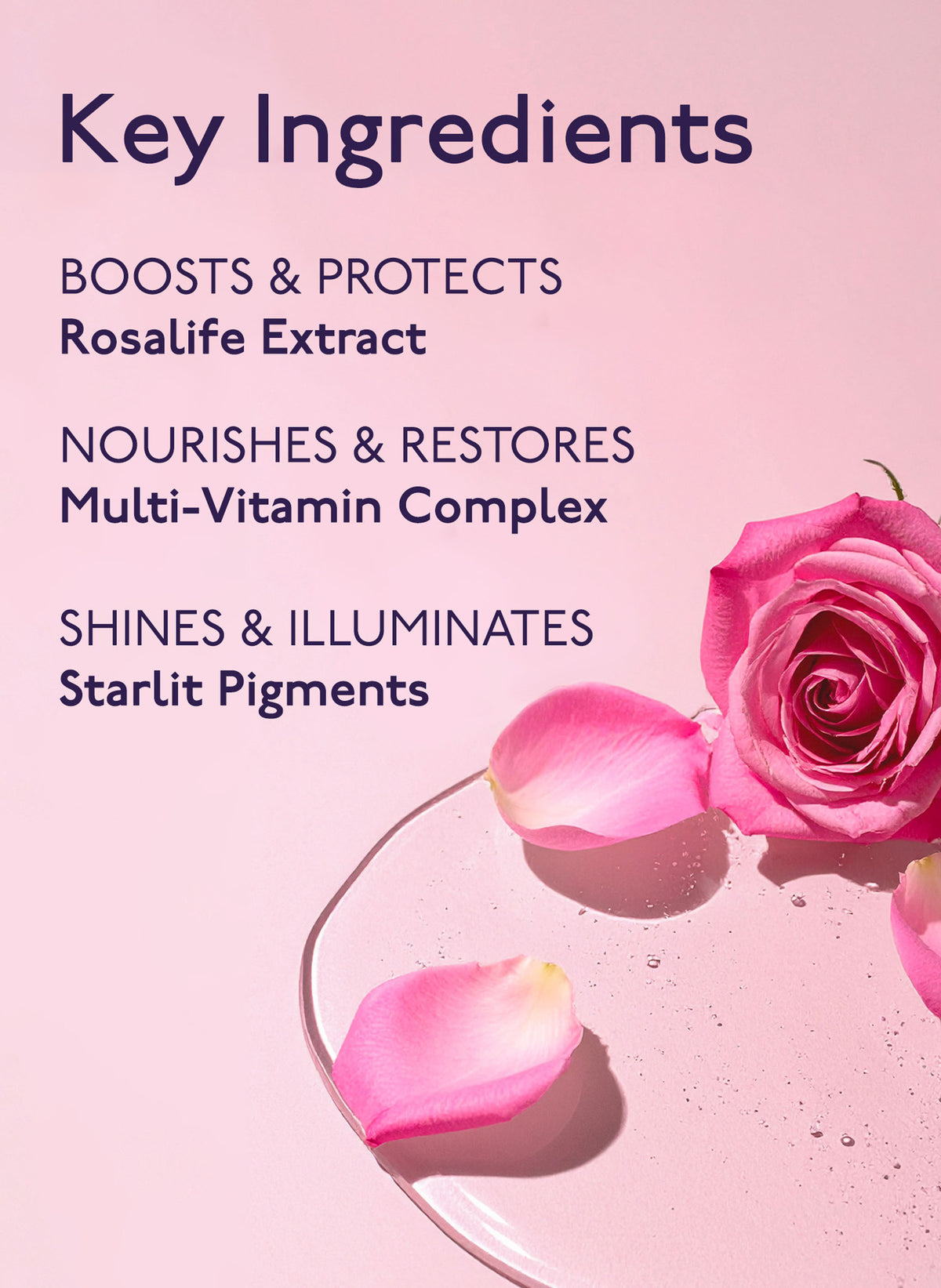 Baume de Rose Lip Oil Serum / N2 - Dazzling Rose