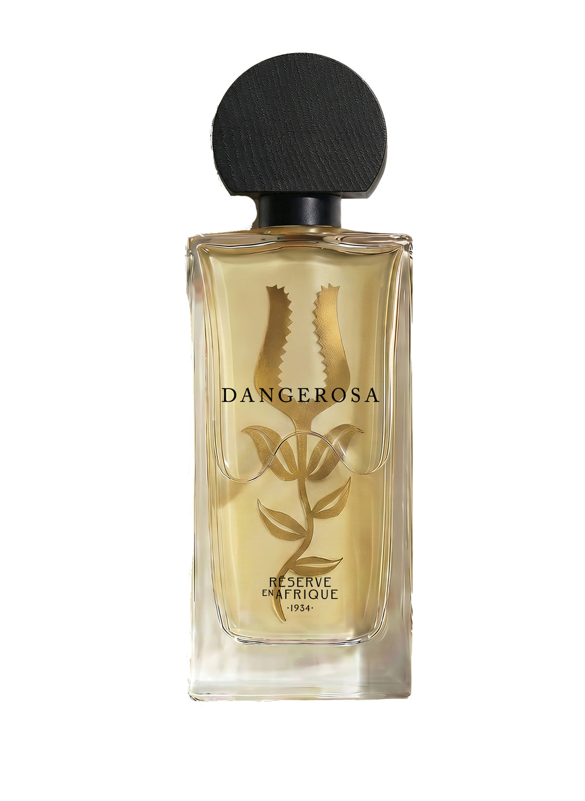 Dangerosa
