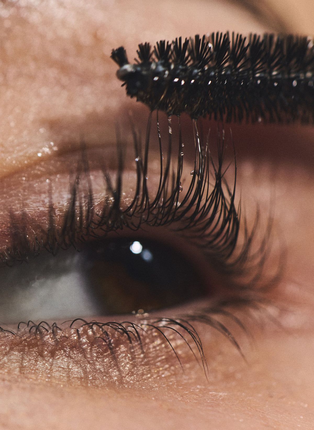 Luscious Lash Oil