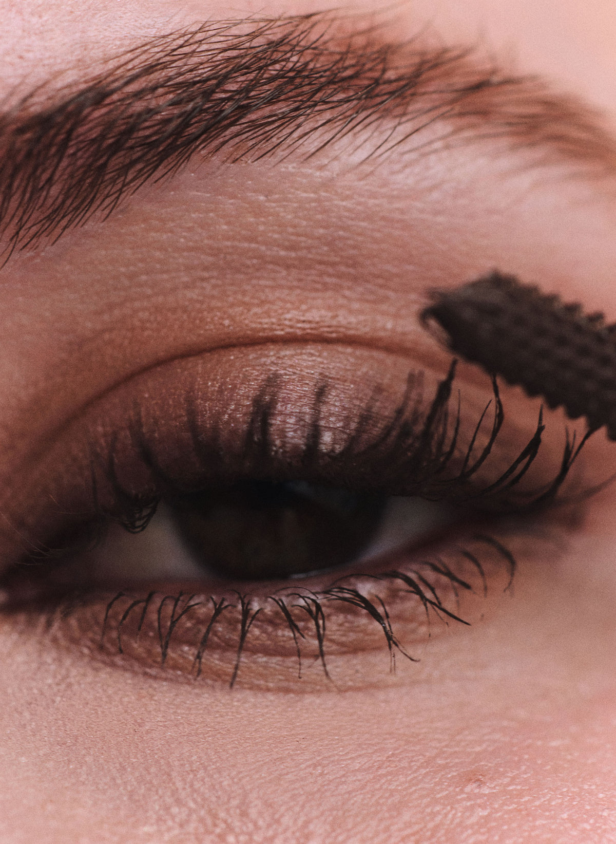 Lash Lift Mascara / BROWN
