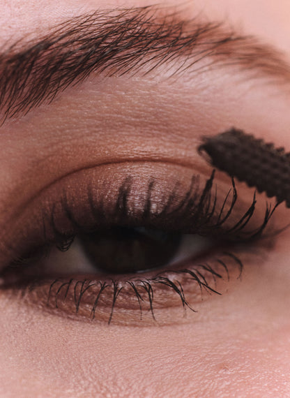 Lash Lift Mascara / BROWN