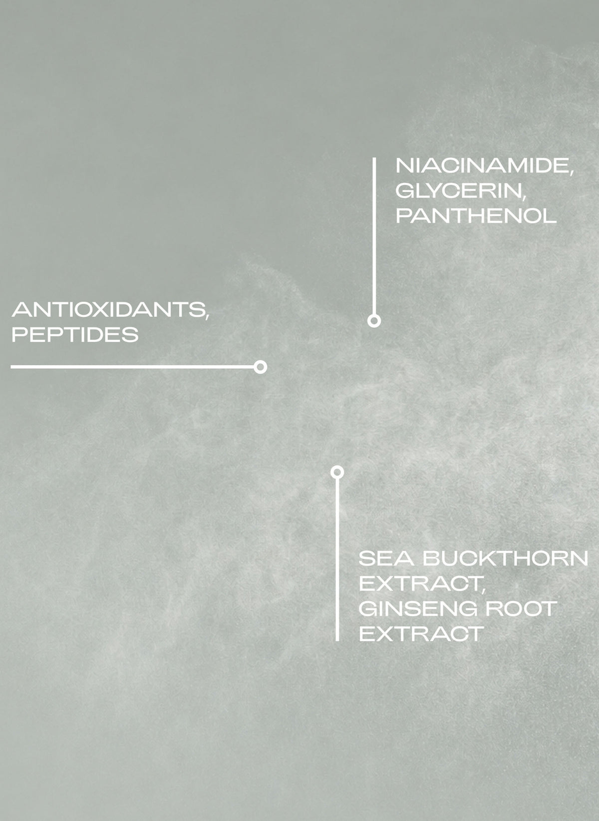 Skin Prep Antioxidizing & Protective Serum Mist