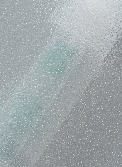 Skin Prep Antioxidizing & Protective Serum Mist