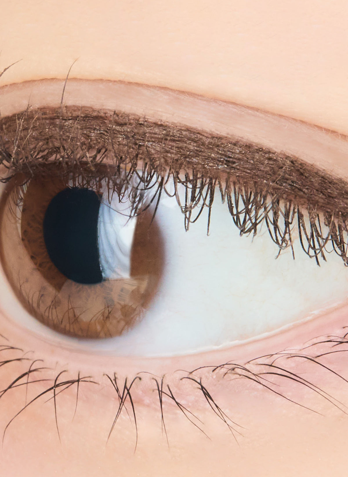 Pencil Eyeliner / Medium Brown