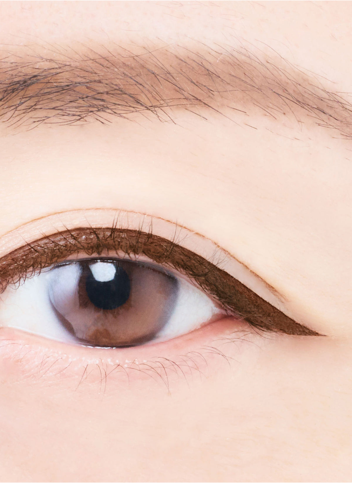 Liquid EyelinerR5 / Brown