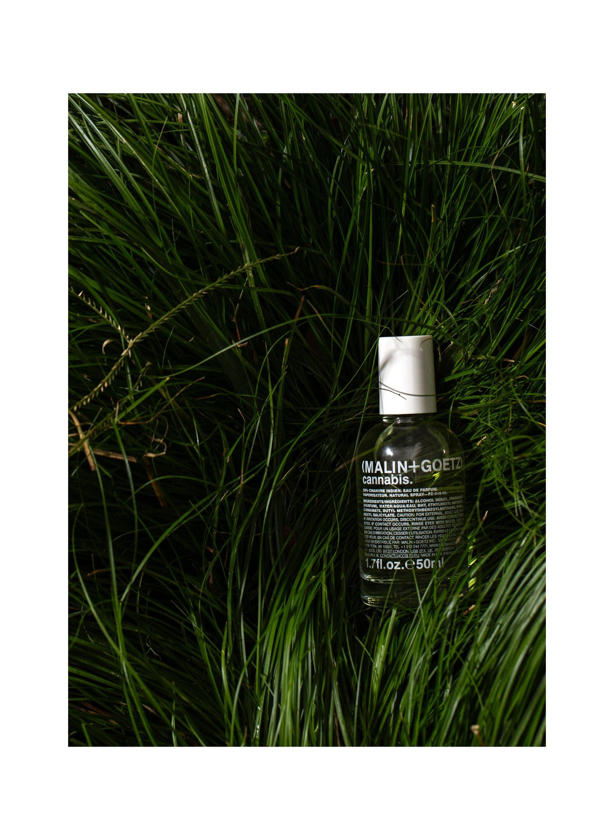 Cannabis Eau de Parfum