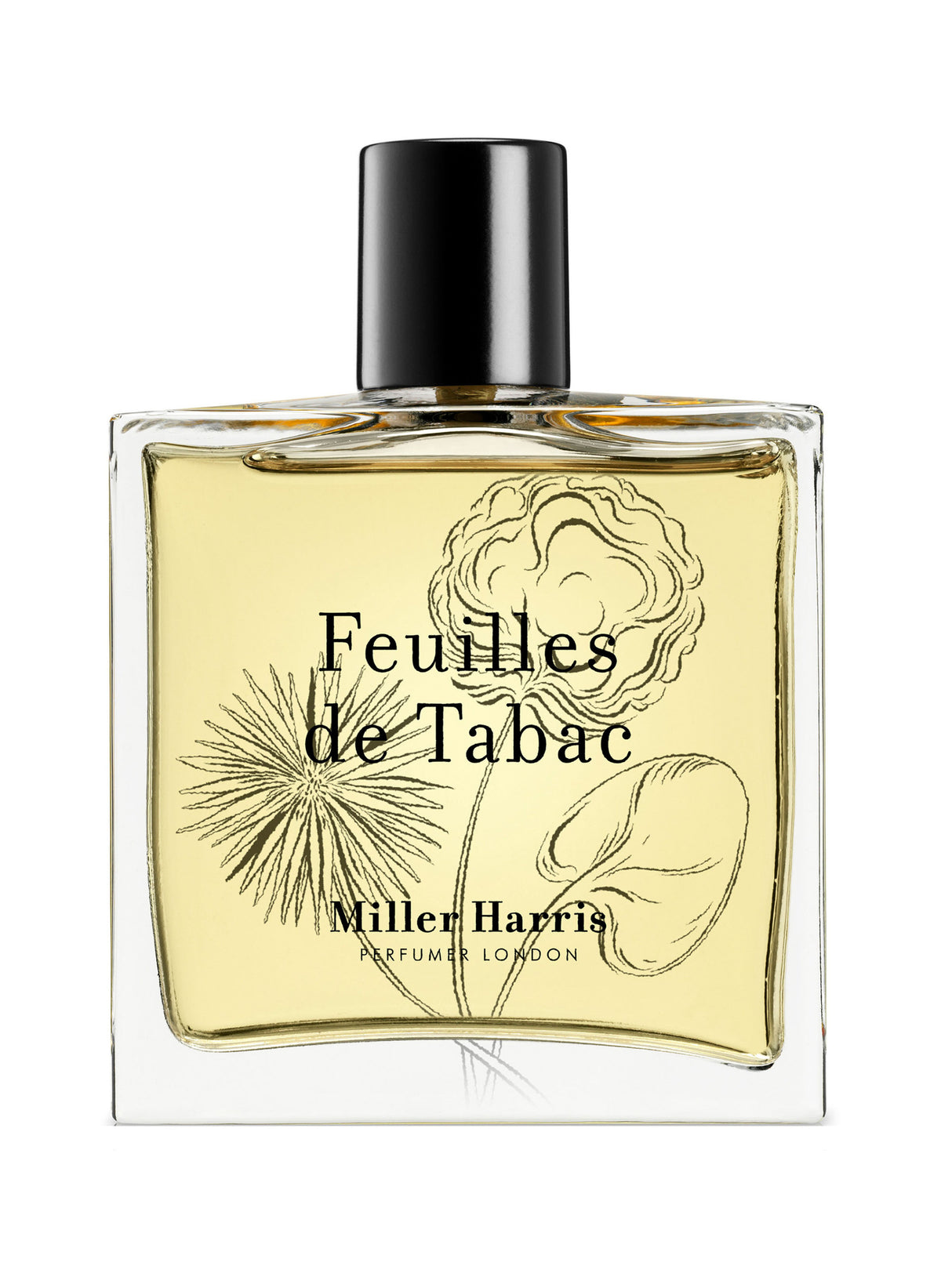 Feuilles De Tabac