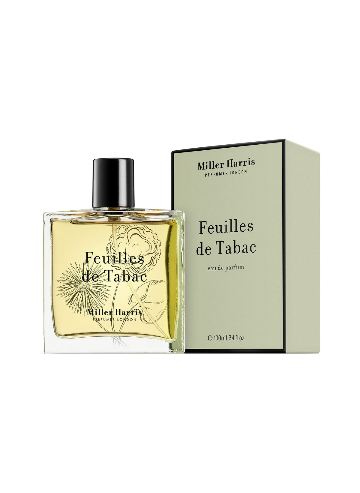 Feuilles De Tabac