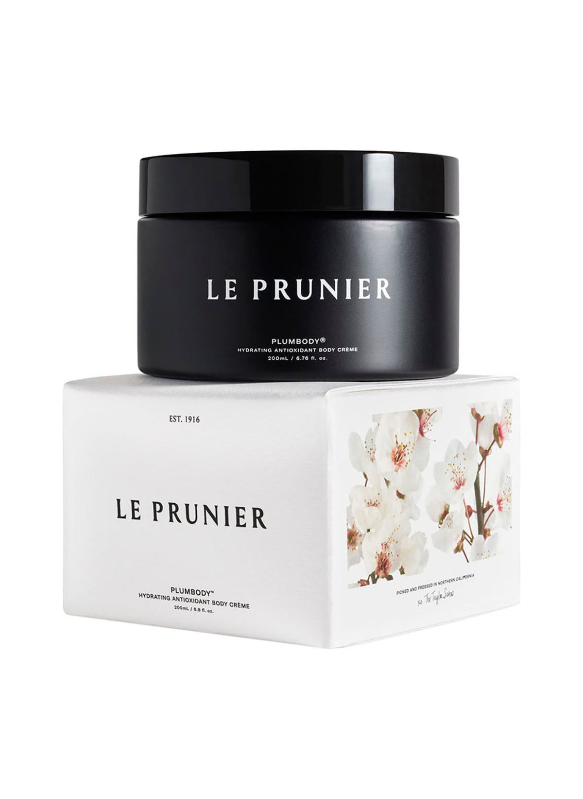 Plumbody / 200 ml