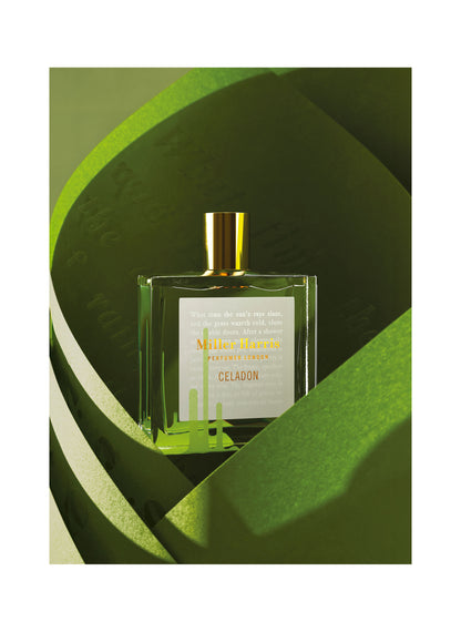 Celadon / 100 ml